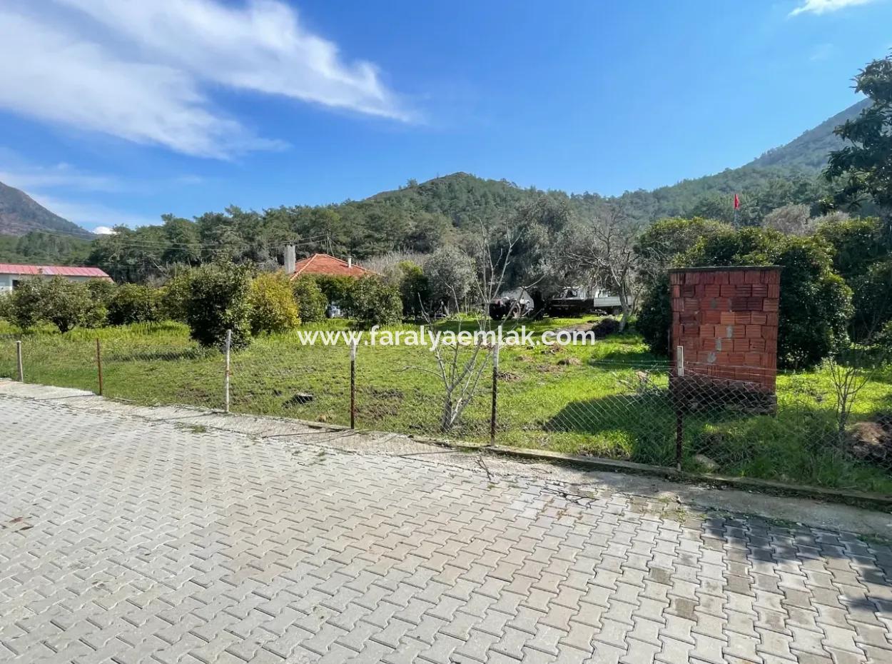 Sultaniye Büyükkaraç Mahallesin Gebraucht Kaufen Feld