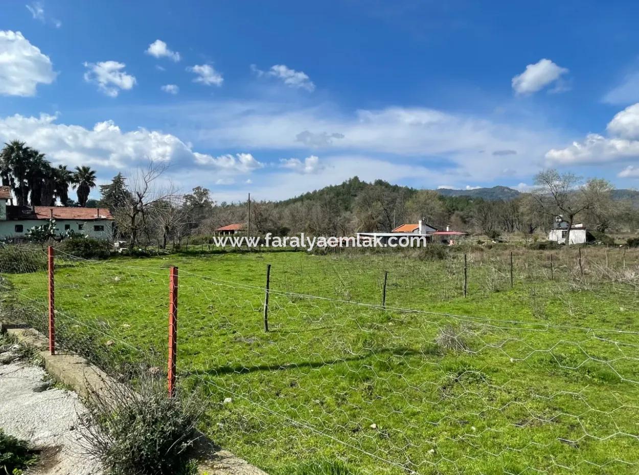 Sultaniye Büyükkaraç Mahallesin Gebraucht Kaufen Feld