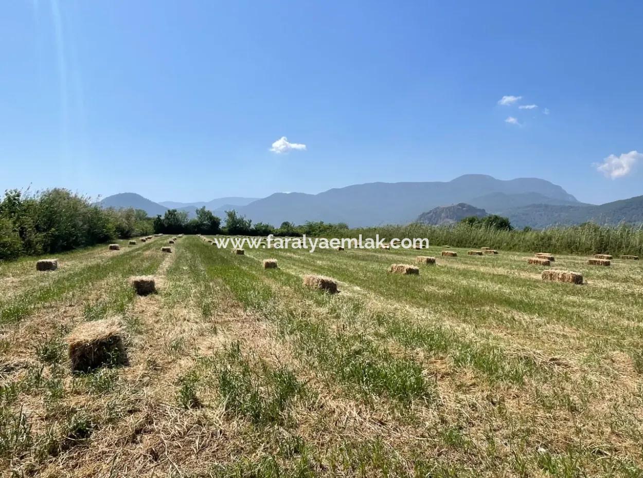 6.500 M2 Feld Zum Verkauf An Der Iztuzu-Straße In Dalyan