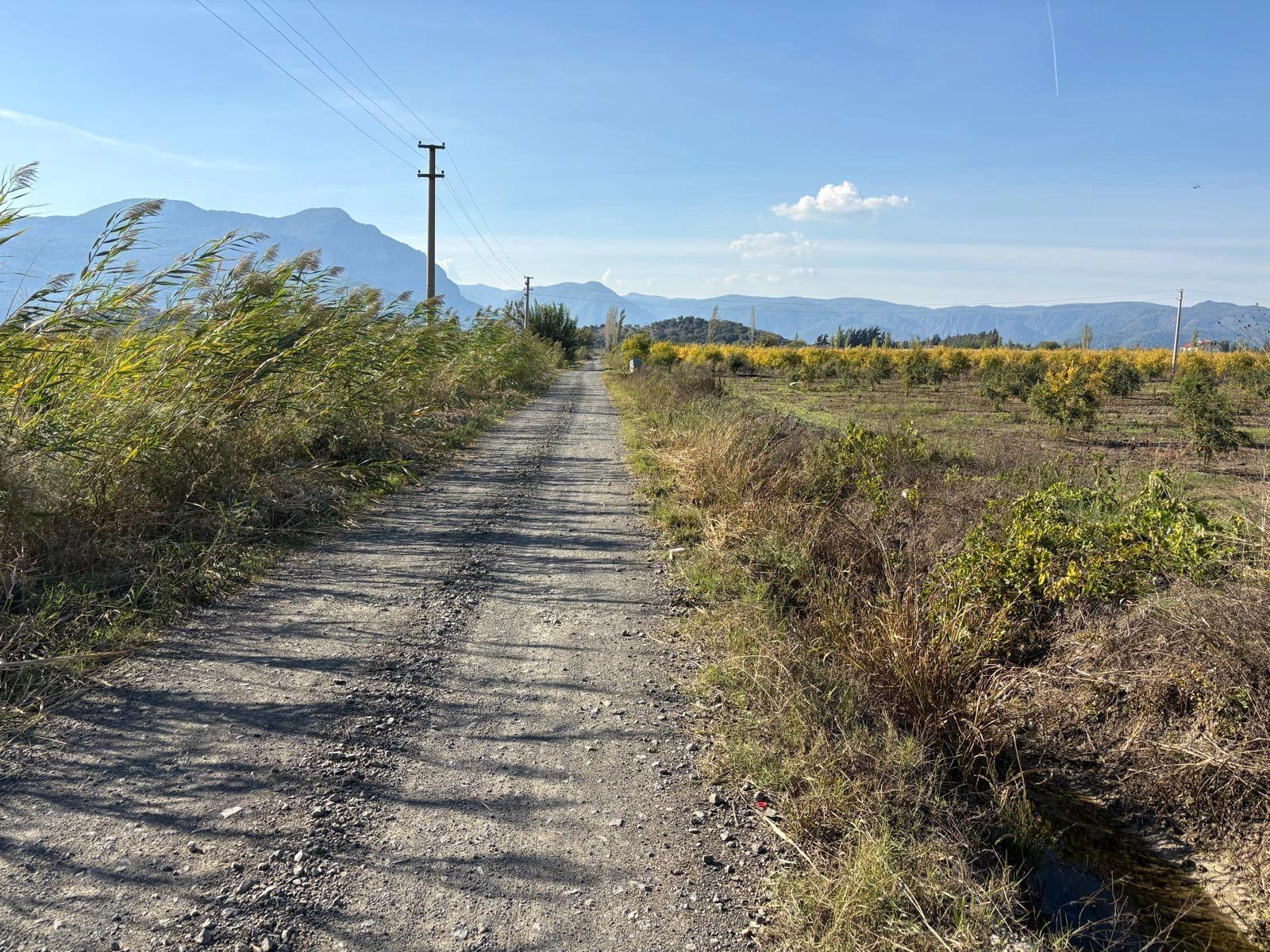 21500m2 Pomegranate Garden For Sale In Eskiköy