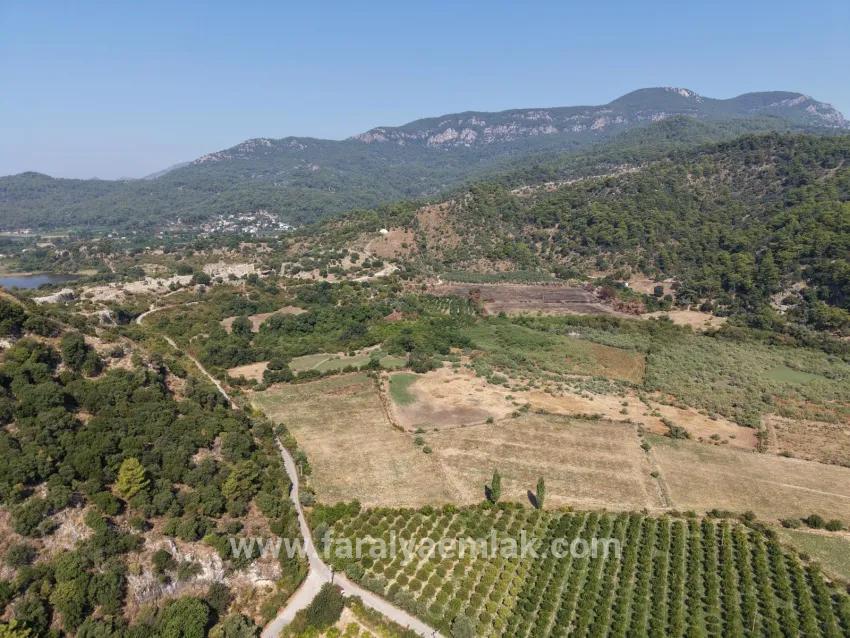 Village of Köyceğiz Çandır Neighbourhood with zero channel 20,000m2 for sale land