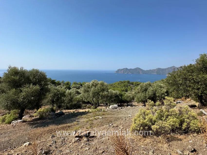 Field For sale in Çandır Nbh. Köyceğiz - Field Zoned - 21.000 m²