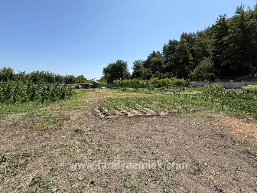 120m2 Detached Wooden House On A 2500m2 Field In Dalyan Karadağ Area