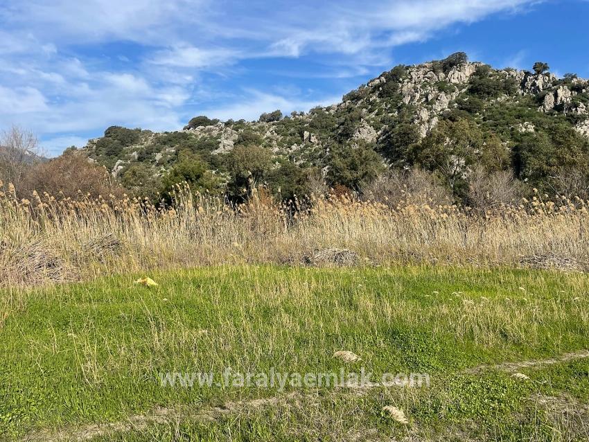 6800 M2 Plot Of Land For Sale In Dalyan With 5% Residential Zoning.