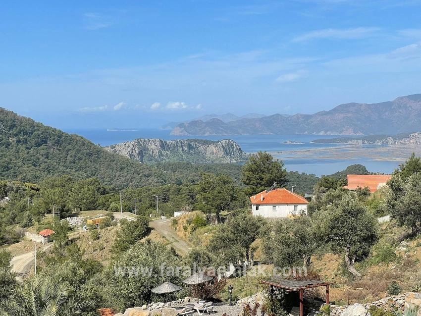 7+1 Bedroom Villa For Sale in Gökbel Nbh. Ortaca - 5.000 m²