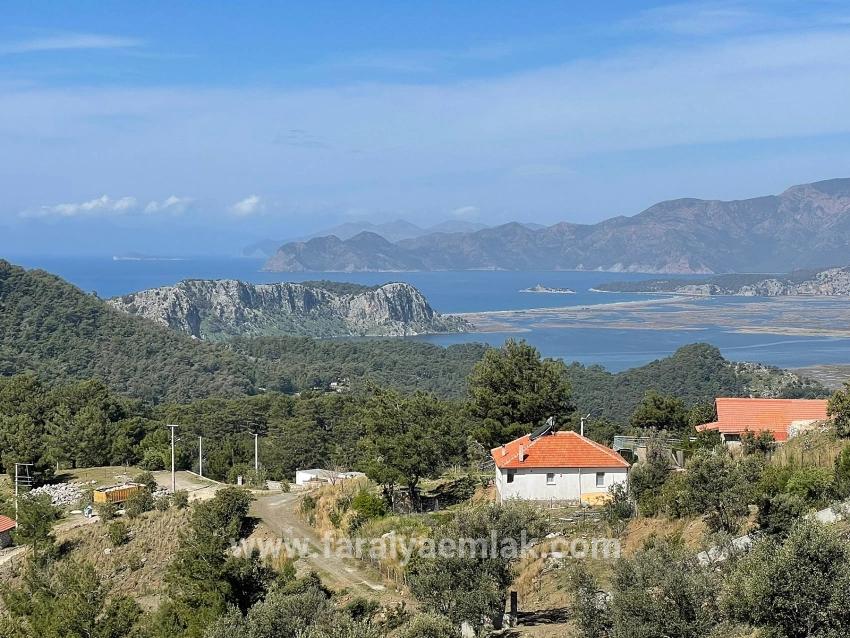 7+1 Bedroom Villa For Sale in Gökbel Nbh. Ortaca - 5.000 m²