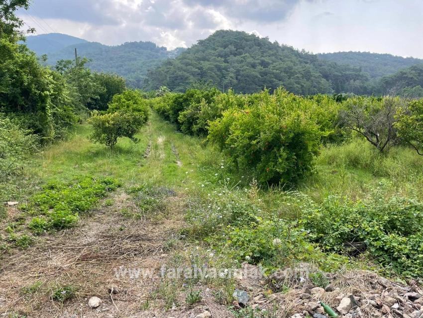 7800m2 Land For Sale In Gökbel, Next To Iztuzu Beach Road