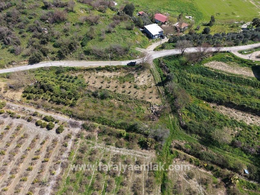 16.710m2 Pomegranate Garden For Sale With Lake View In Eskiköy