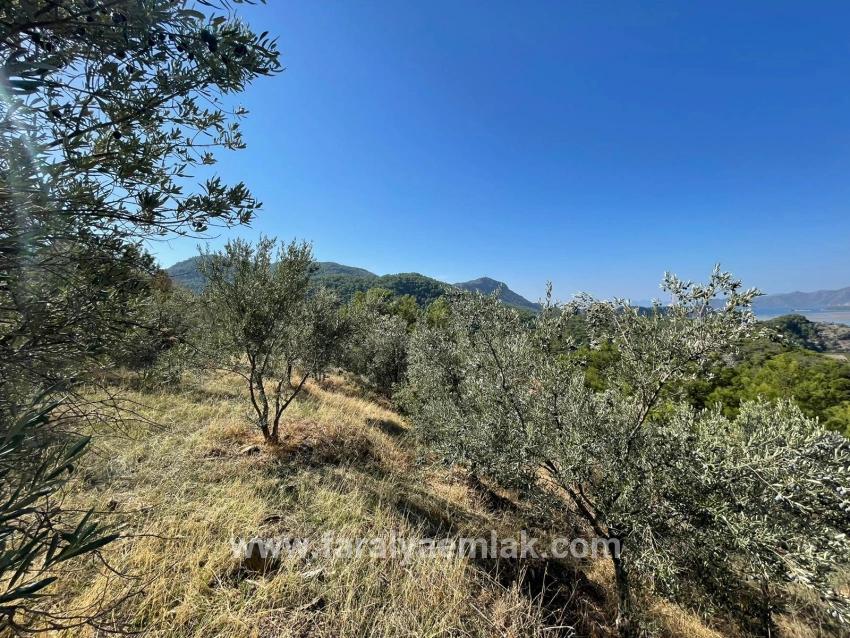 3514m2 Land For Sale With Full Sea View In Gökbel