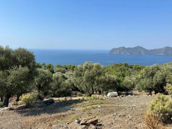 Field With Sea View, 21.000 M2, 2b, For Sale In Çandır