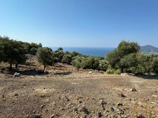 Field With Sea View, 21.000 M2, 2b, For Sale In Çandır