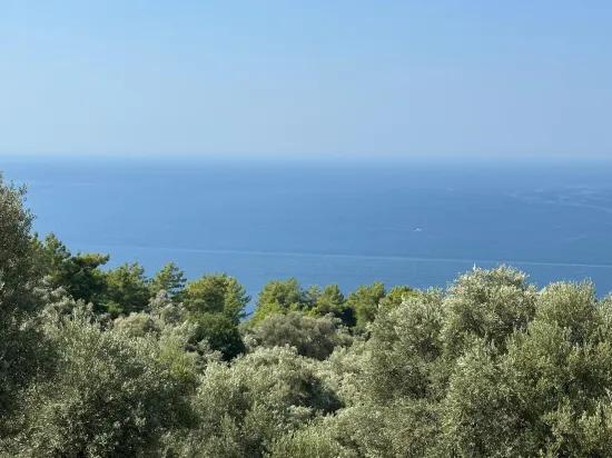 Field With Sea View, 21.000 M2, 2b, For Sale In Çandır