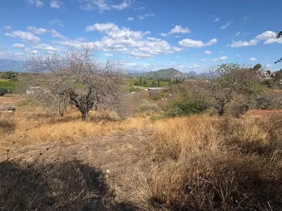 Field For Sale, 5.000m2, With Lake View In Dalyan, Karadağ