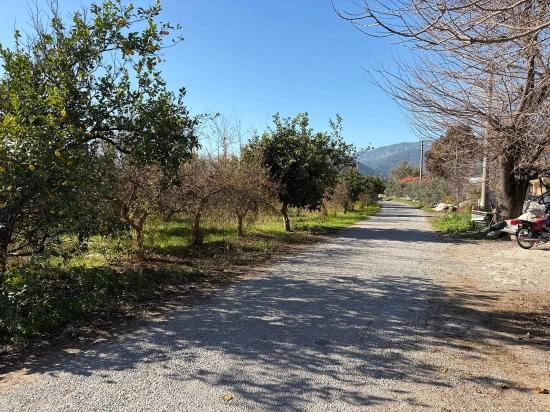 4,541 M² Garden For Sale In Dalyan.