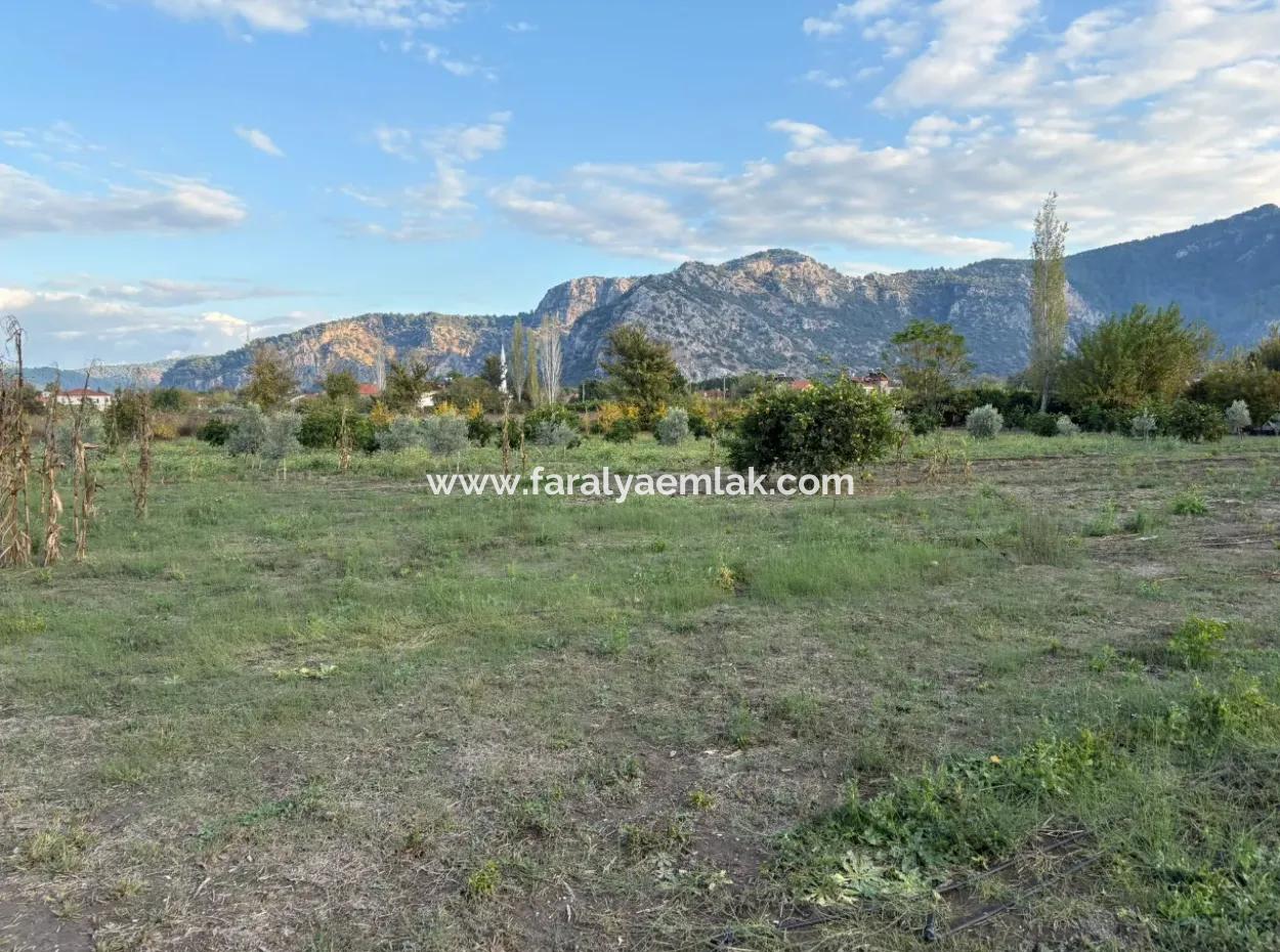 7,450M2 Land For Sale Close To The Center Of Dalyan