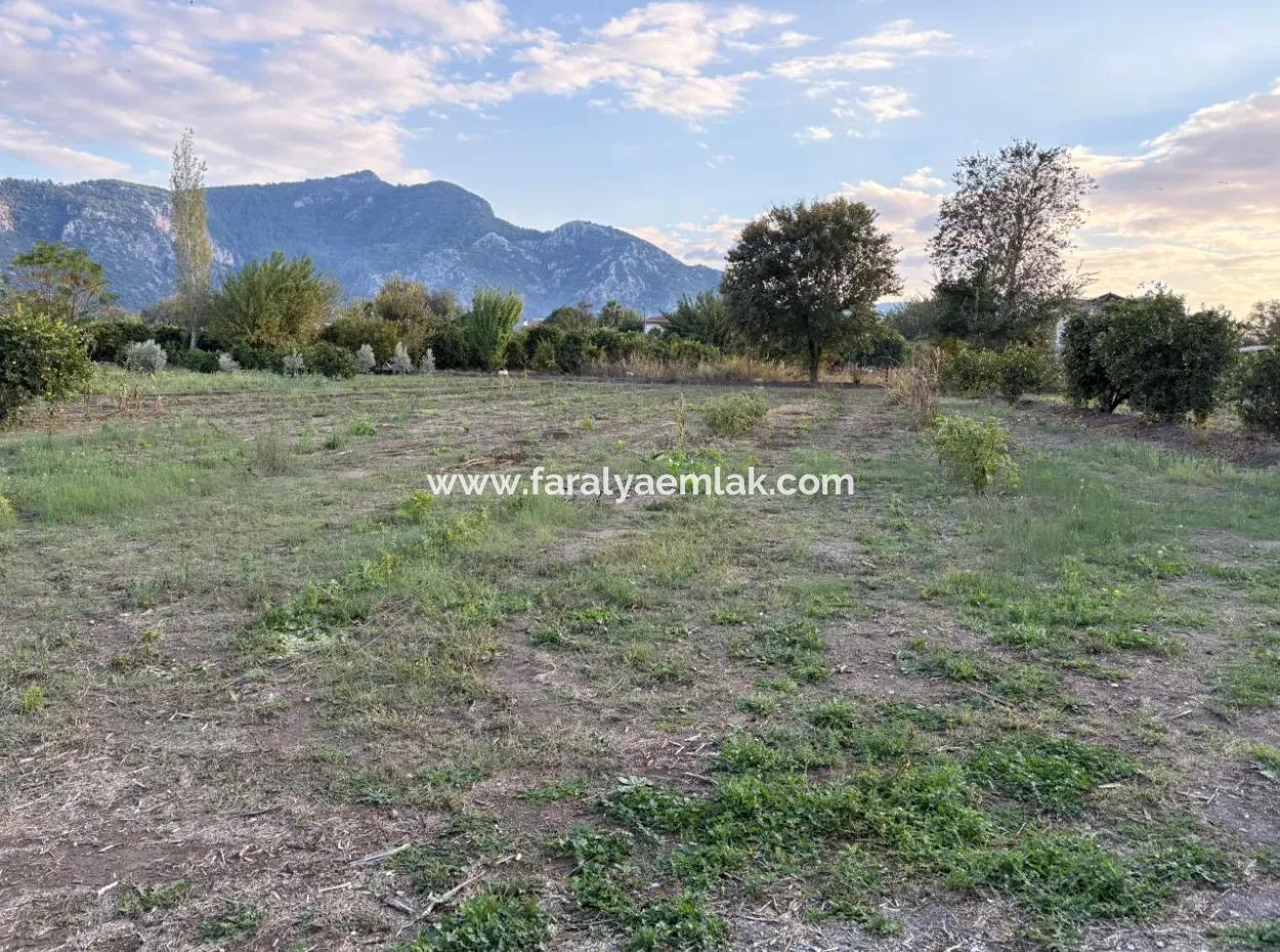 7,450M2 Land For Sale Close To The Center Of Dalyan