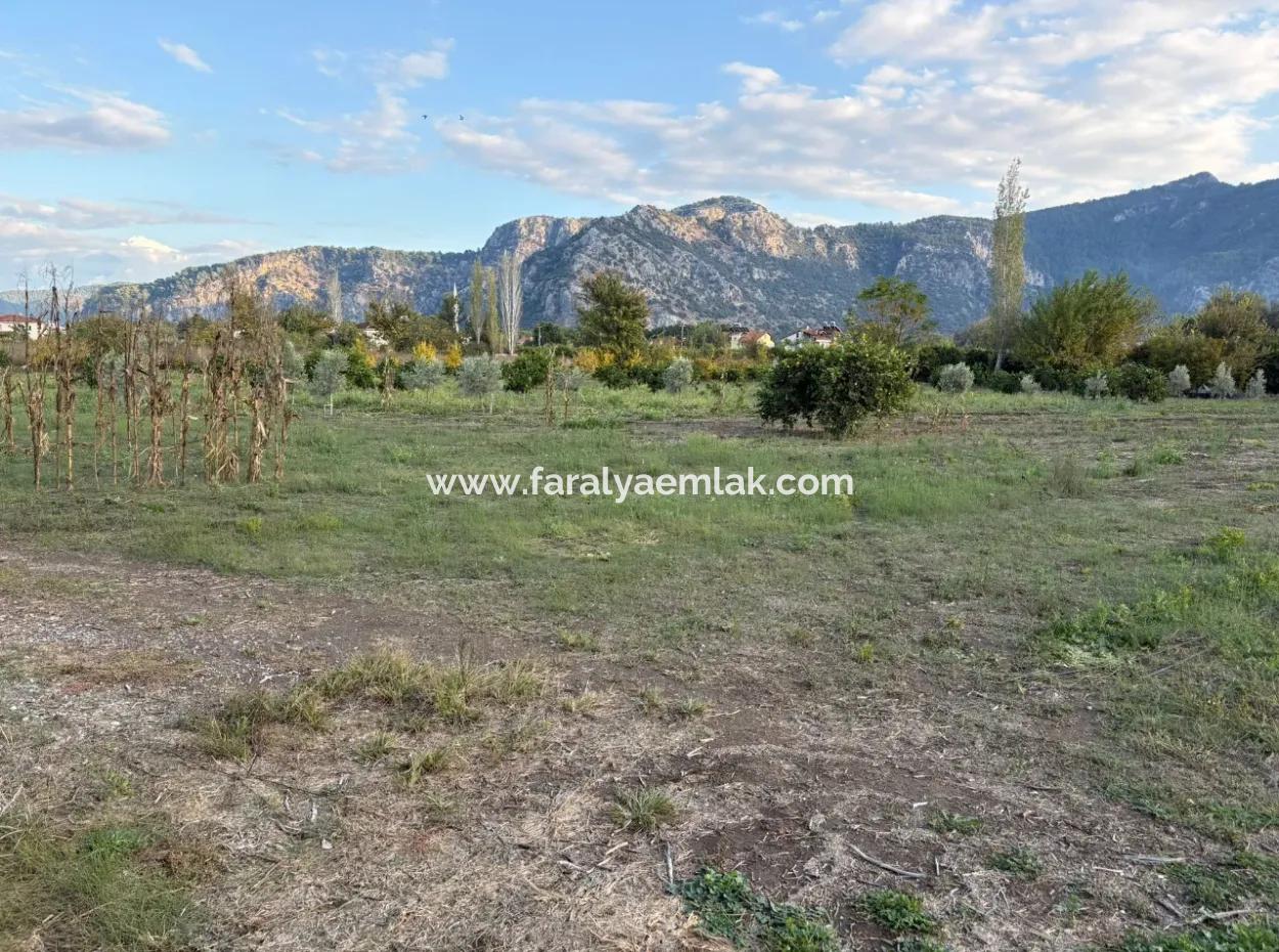 7,450M2 Land For Sale Close To The Center Of Dalyan