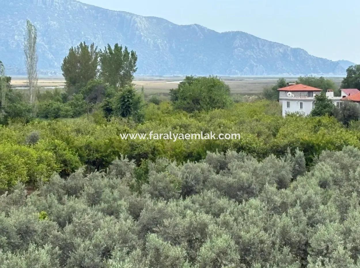 1,721M2 Land For Sale In Çandır Village With Sea And Lake Views