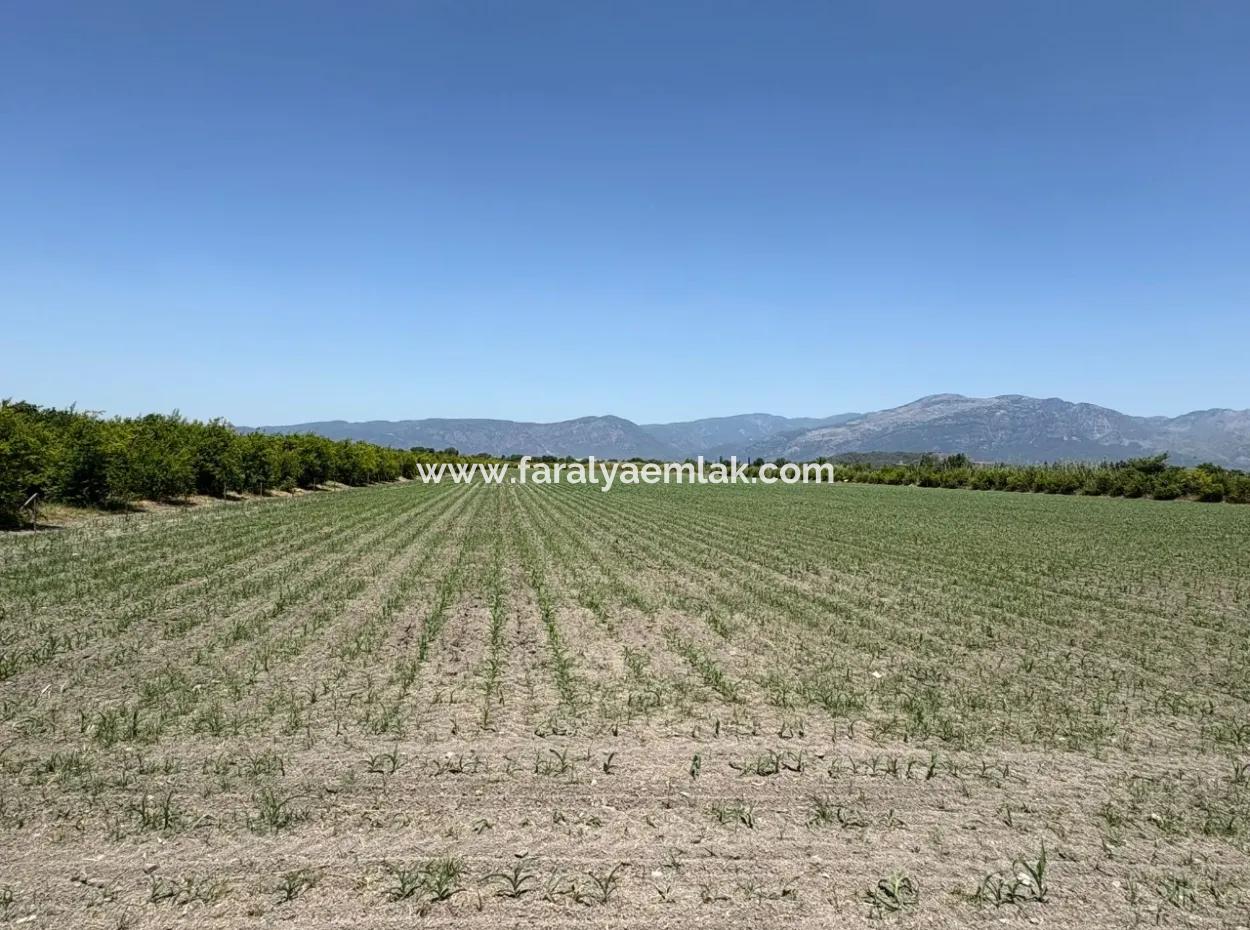 46,550M2 Land For Sale In Tepearası