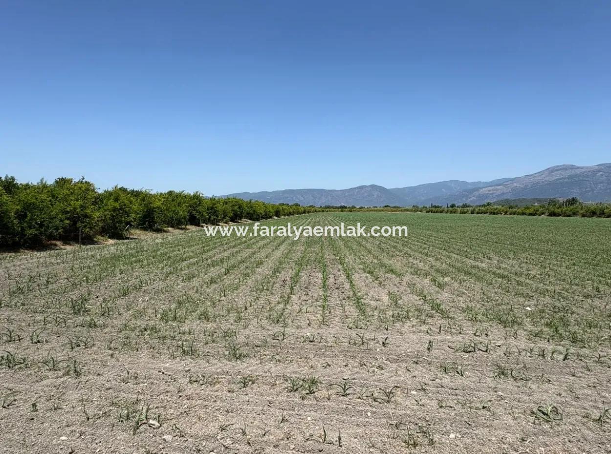 46,550M2 Land For Sale In Tepearası