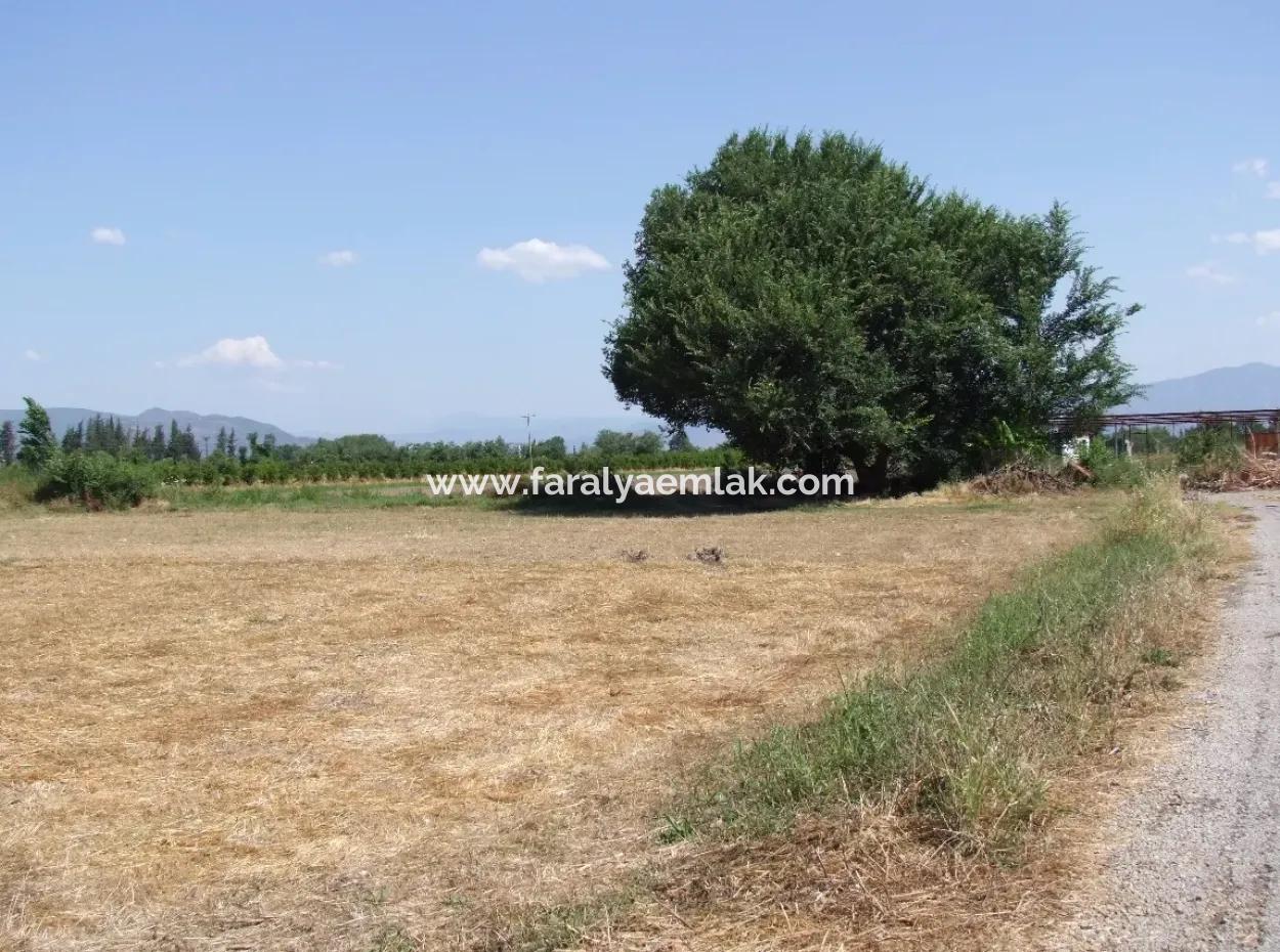 Plot For Sale On The Corner Of 540M2 In Okcular