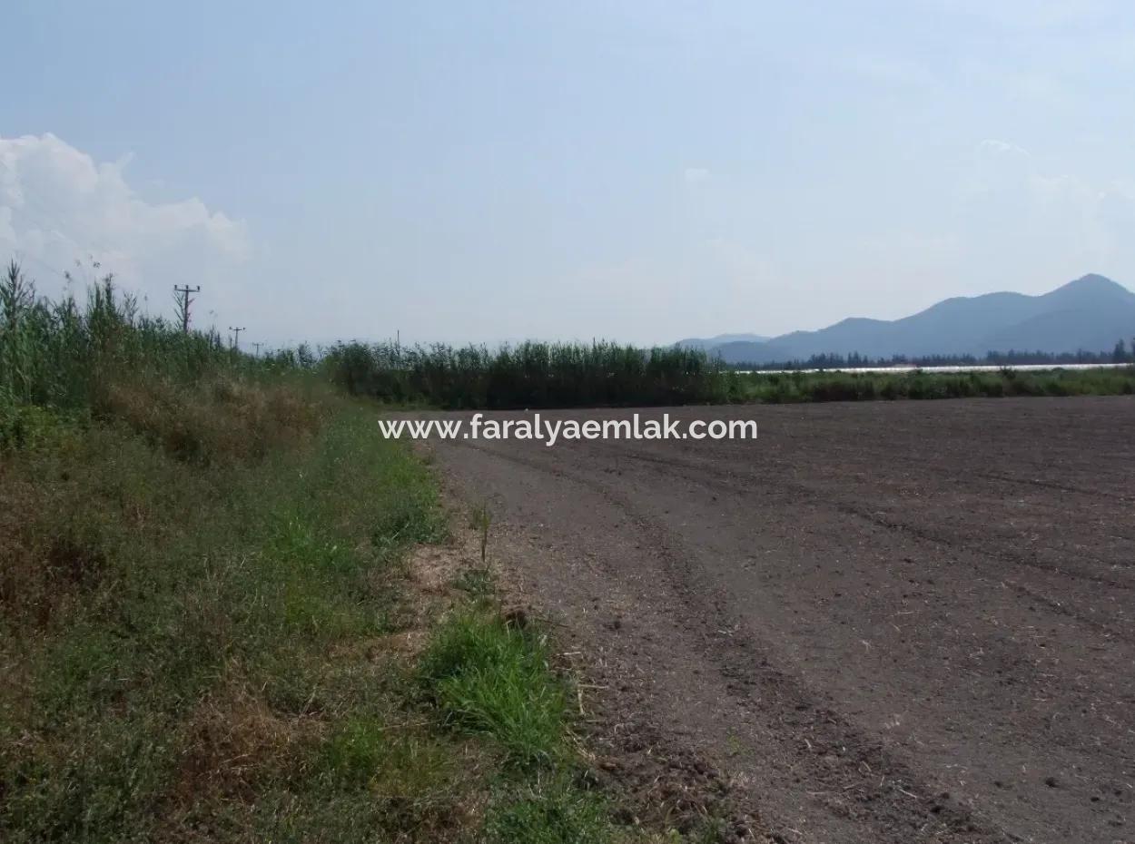 Farm For Sale In Dalyan Eskikoy Eskikoy Oriya 14,900M2 Plot For Sale Field