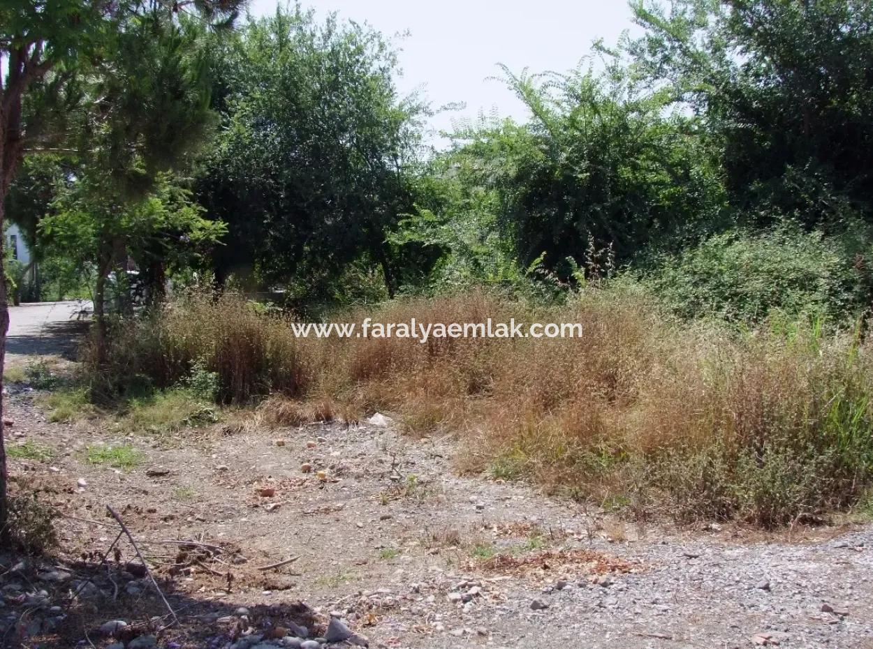 Gurpinar In Dalyan For Sale Dalyan Land For Sale, Plot For Sale In Köşebaşı 993M2 0 60