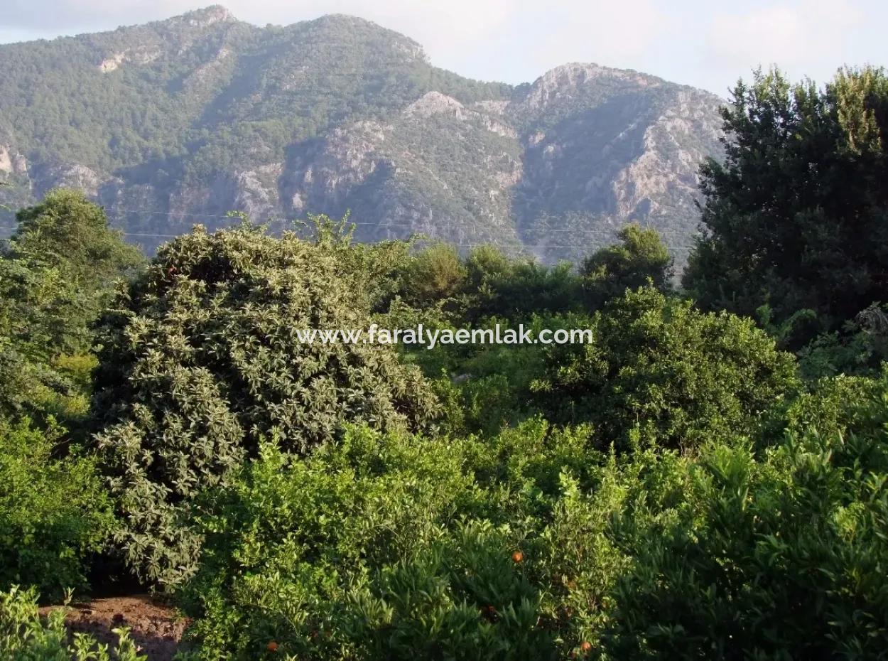 Near The Centre Of Dalyan In Dalyan Plot For Sale For Sale 987M2