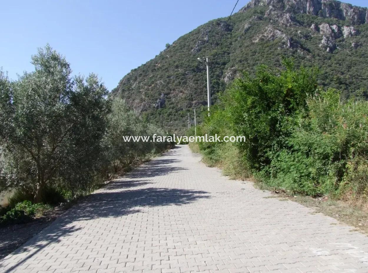 930M2 Land For Sale In Plot For Sale In Mergenli Ortaca Mergenli