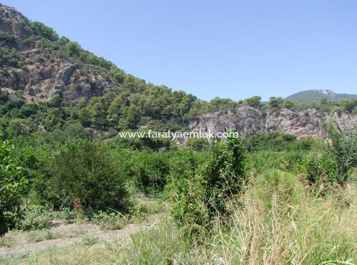 In Dalyan Plot For Sale In Channel Zero