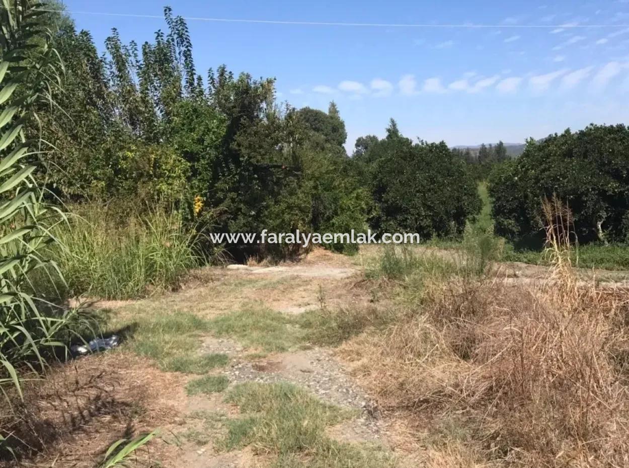 For Sale In Köyceğiz For Sale In Dogusbelen Dogusbelen Narenc