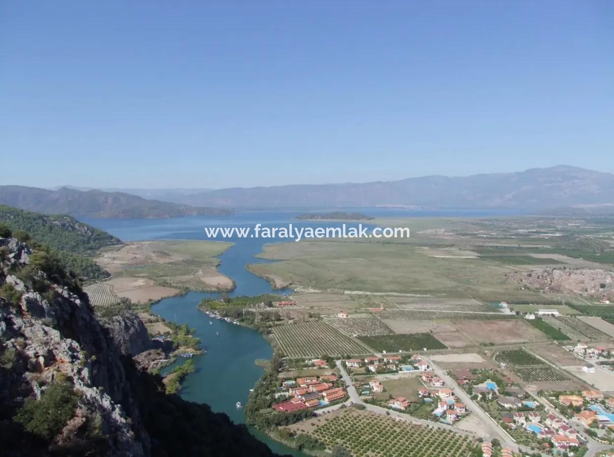 Maras In Dalyan For Sale Dalyan 7300M2 %5 Land Plot For Sale