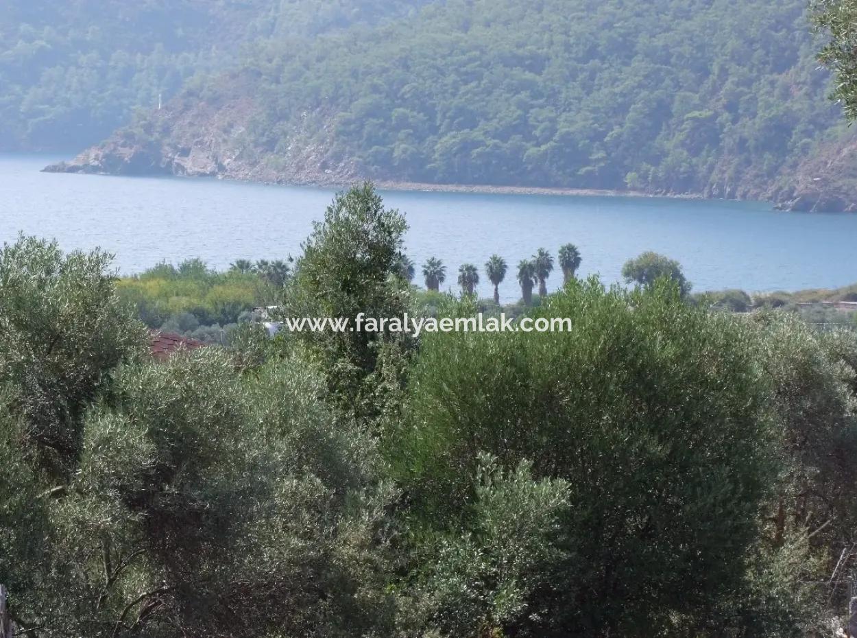For Sale In Ekincik 5,391M2 Plot For Sale