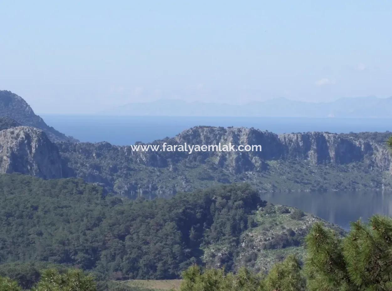 Land  For Sale With Sea View For Sale In Gokbel