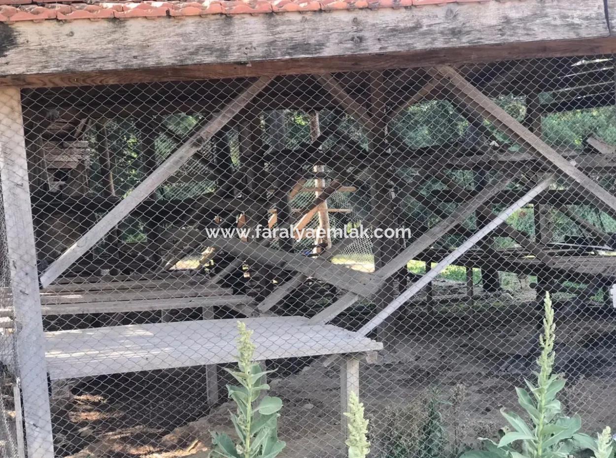 Land For Sale In Seydikemer Korubuku 76000M2