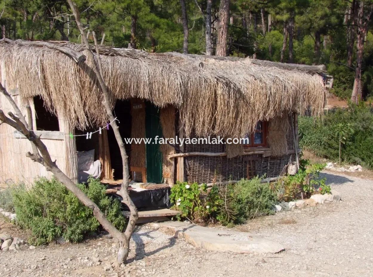 Beachfront Bungalow For Sale In Akbuk By The Sea In A Plot Of 800M2 Villa For Sale Turnalı