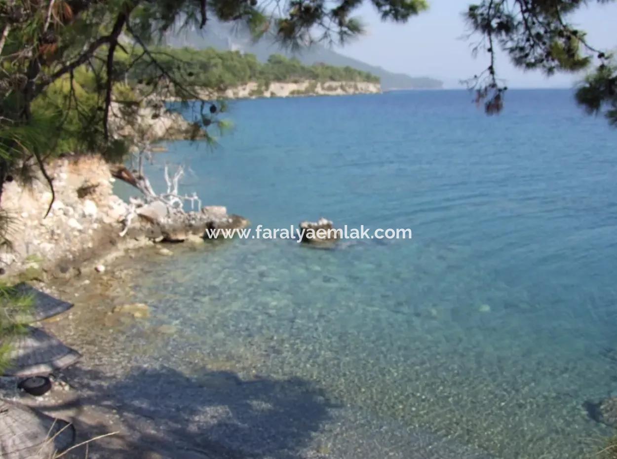 Beachfront Bungalow For Sale In Akbuk By The Sea In A Plot Of 800M2 Villa For Sale Turnalı