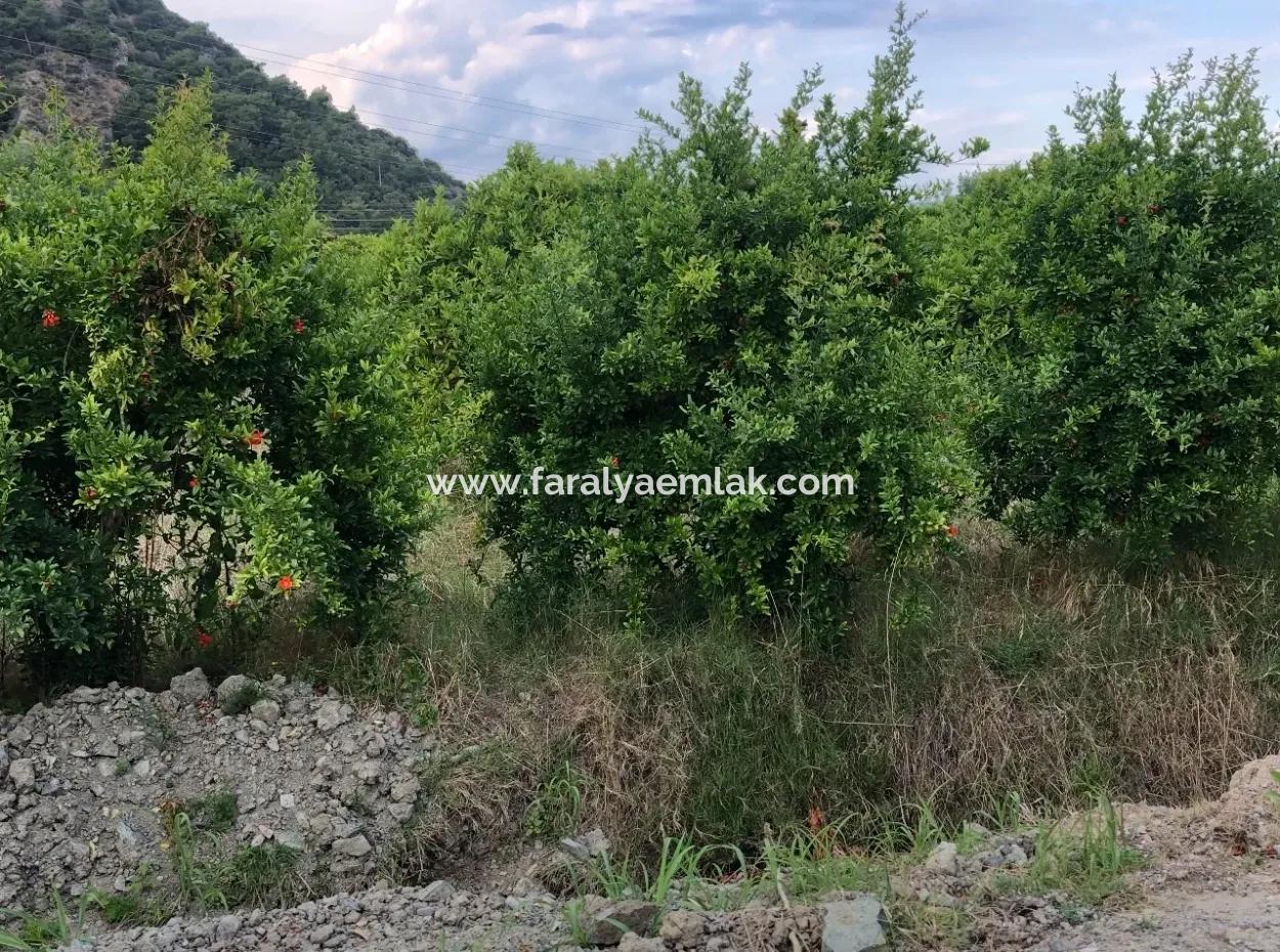 722M2 Plot For Sale In Dalyan Gülpınar For Sale