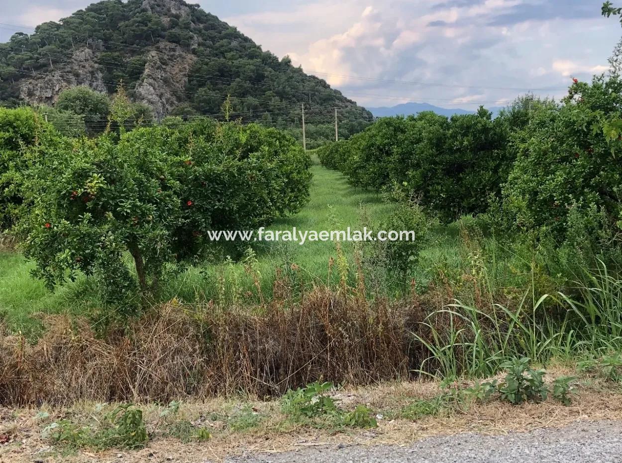 722M2 Plot For Sale In Dalyan Gülpınar For Sale