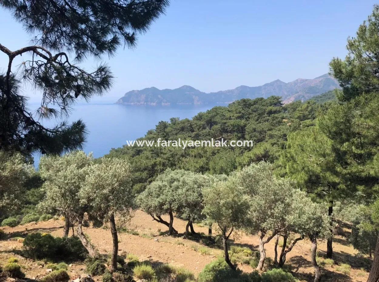 7034M2 Field For Sale With Sea View In Çandir