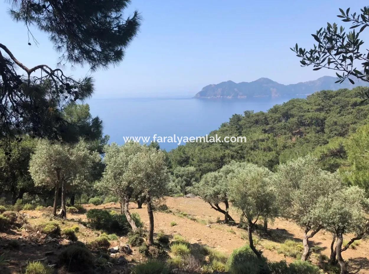 7034M2 Field For Sale With Sea View In Çandir