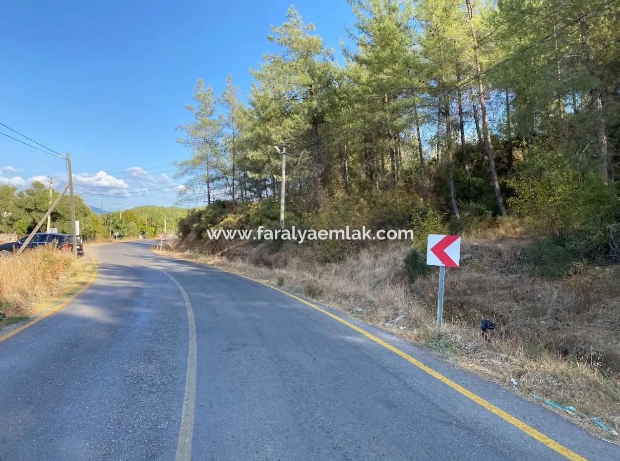 Land For Sale On 2506M2 Mainroa In Kavakarası