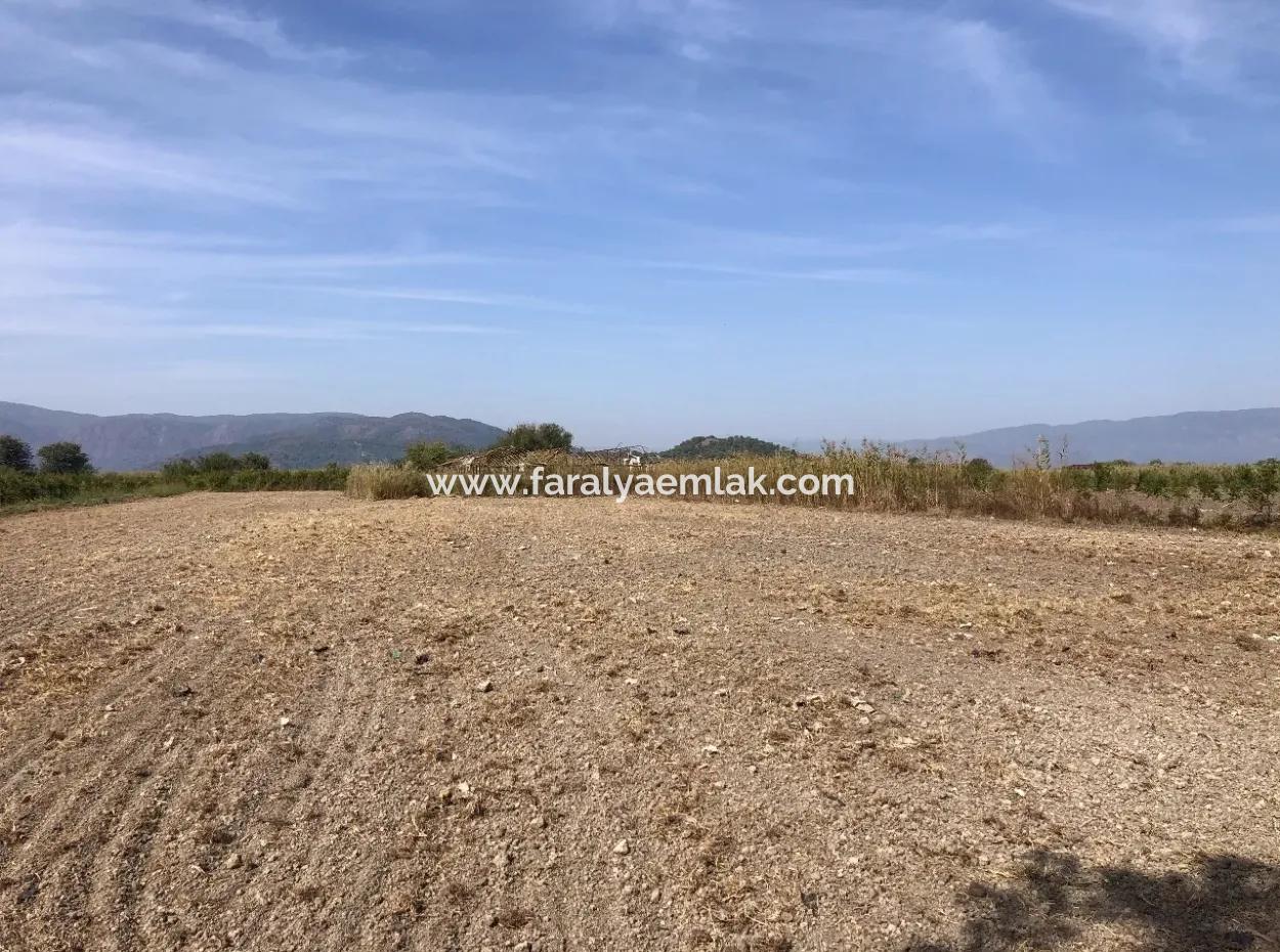 Land For Sale In Esköy 8500M2 Field Land For Sale