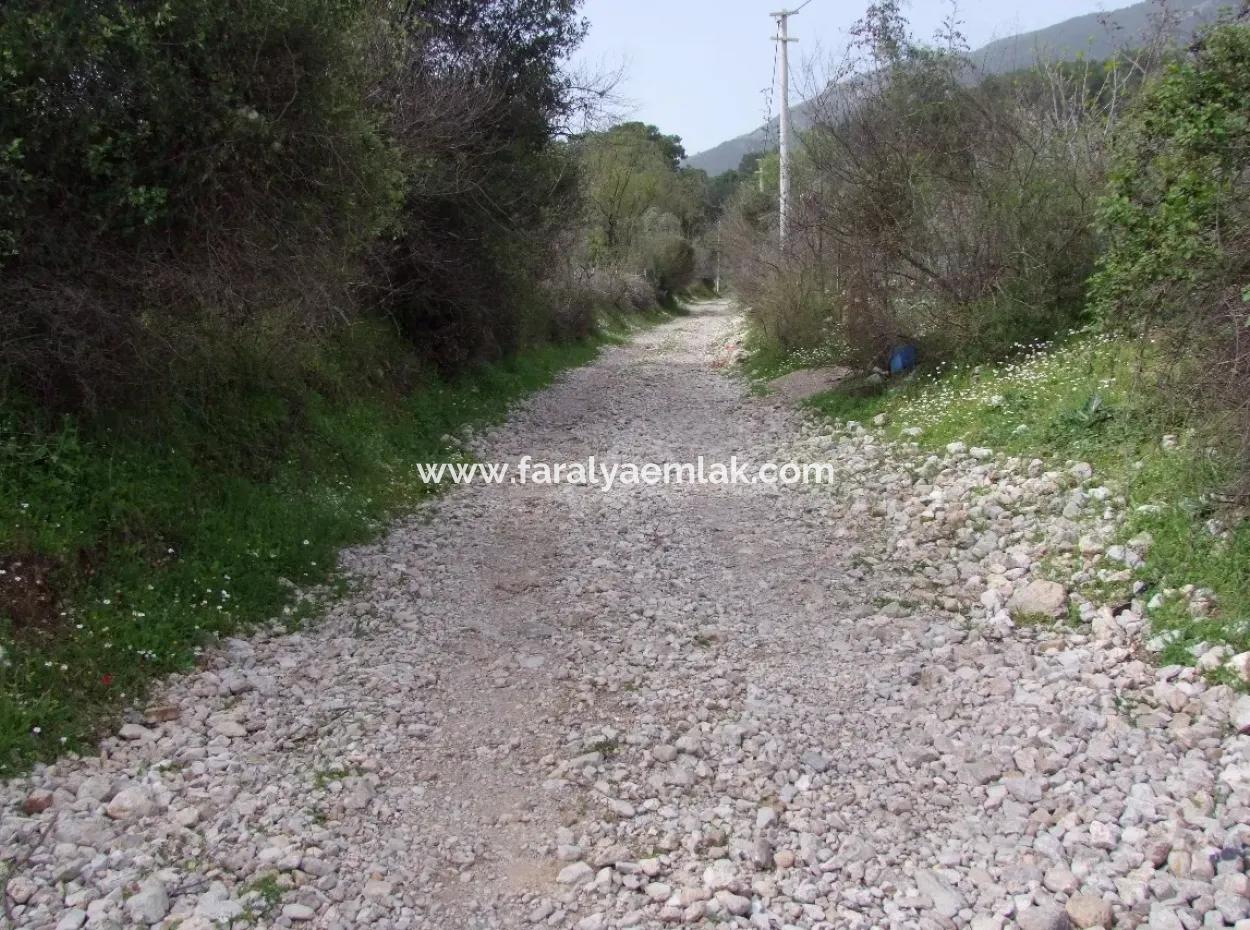 In Incirkoy Uzumlu Fethiye Plot For Sale Farm For Sale In Incirkoy