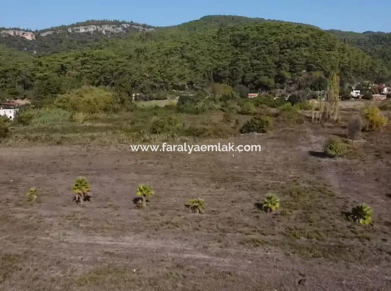 Land Land For Sale In Çamlıda Marmaris Çamlıda Sea View 11720M2 Land For Sale