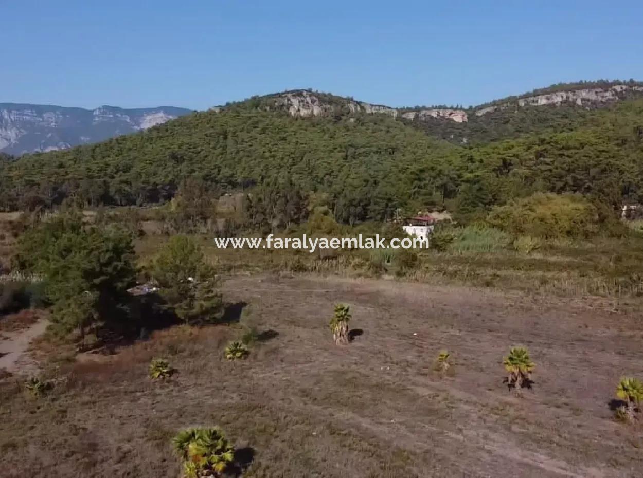 Land Land For Sale In Çamlıda Marmaris Çamlıda Sea View 11720M2 Land For Sale
