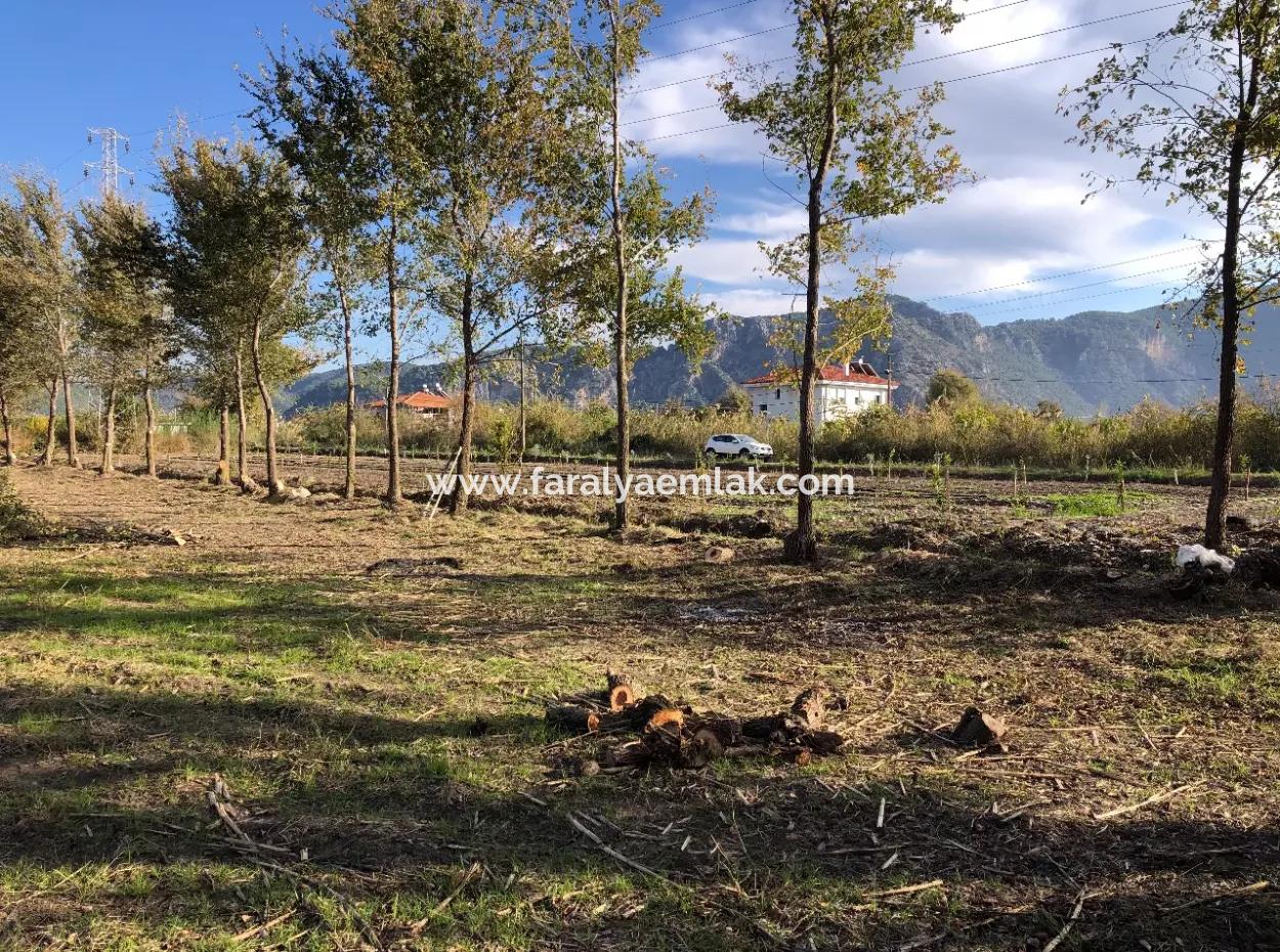 Land For Sale In Dalyan 2540M2