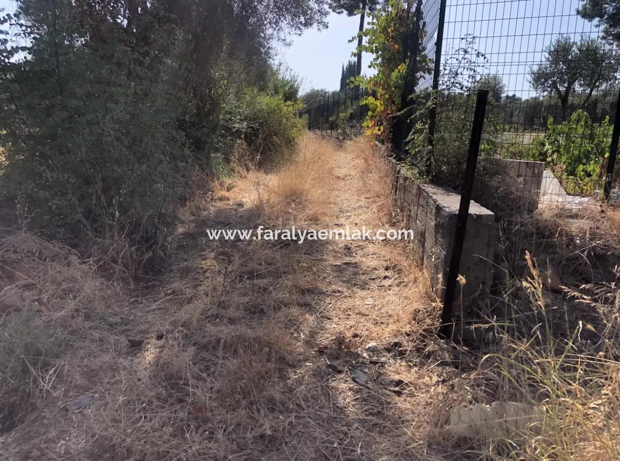 Land Field For Sale In Köyceğinz Yangi 9406M2 Land For Sale