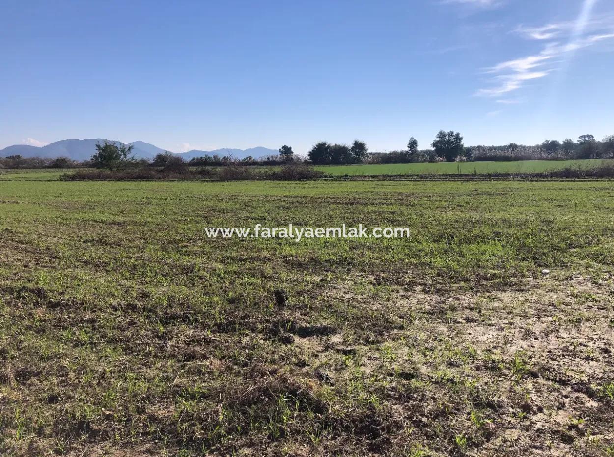 Land For Sale In Sarıgermede 30,000M2 Land For Sale With Sea View