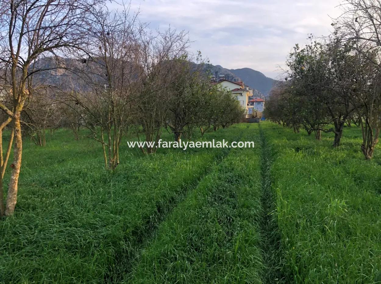 In Okçular Land For Sale 4707M2 Land For Sale